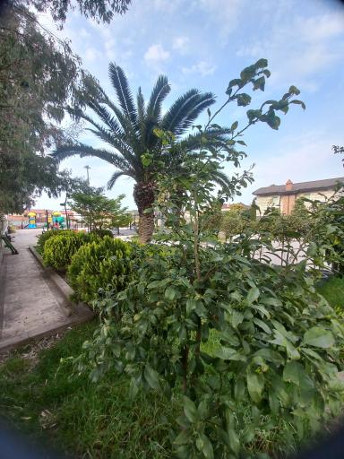 عکس بوستان نشاط