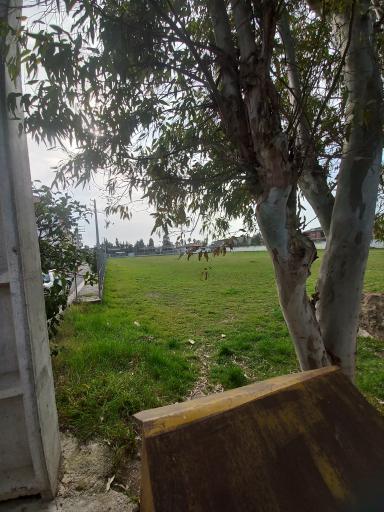 عکس بوستان نشاط