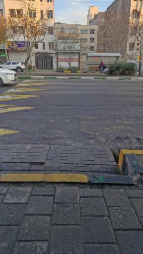 عکس  شقایق