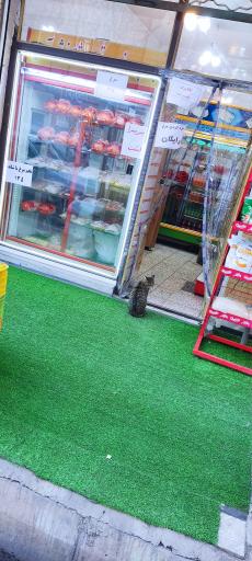 عکس سوپر مرغ و پروتئین رُشنا