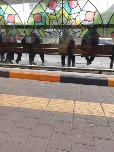 عکس  شقایق