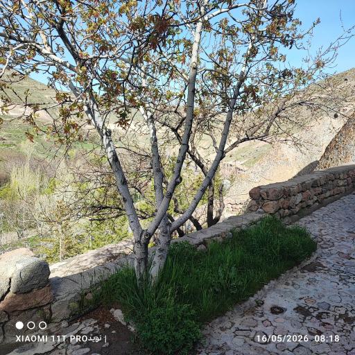 عکس هتل صخره ای لاله کندوان