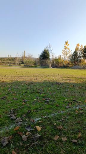 عکس زمین ورزشی شهدای روستای امیرده