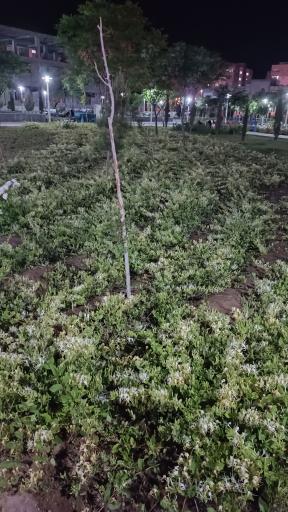 عکس بوستان کتاب