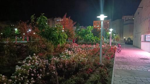 عکس بوستان کتاب