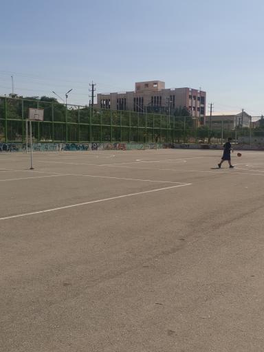 عکس زمین بسکتبال 