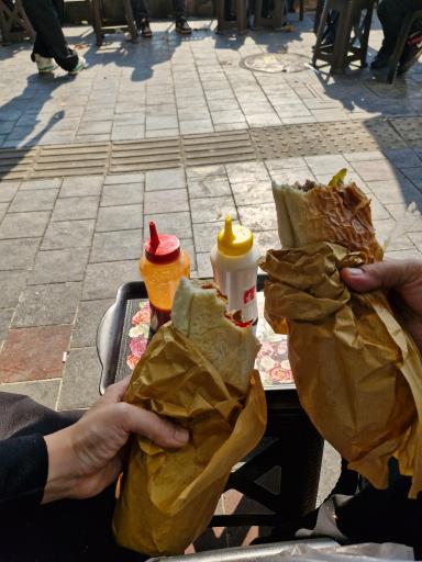 عکس ساندویچی خانلری