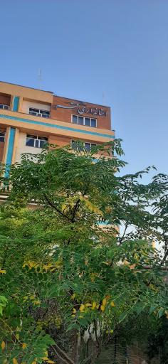 عکس استانداری قم