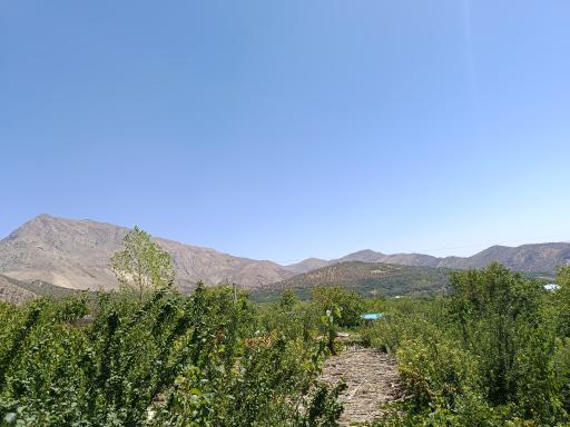 عکس باغ تفریح و اقامتی گل سیب