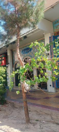 عکس مطبخ حاج عباس خدایی