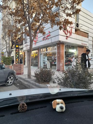 عکس آجیل فروشی آربابا