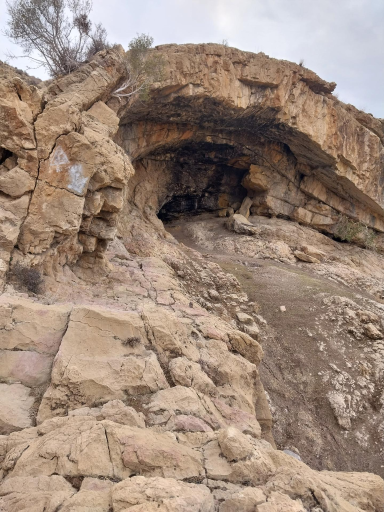 عکس مهارلو کهنه