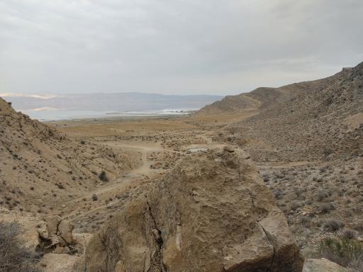 عکس مهارلو کهنه