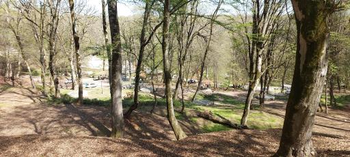 عکس پارک جنگلی قرمرض