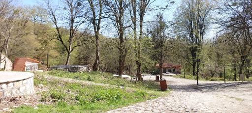 عکس پارک جنگلی قرمرض