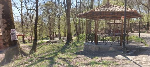 عکس پارک جنگلی قرمرض