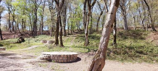 عکس پارک جنگلی قرمرض