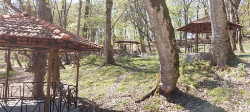 عکس پارک جنگلی قرمرض