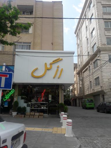 عکس گل فروشی رز گل