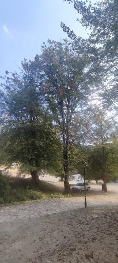 عکس پارک جنگلی قرمرض