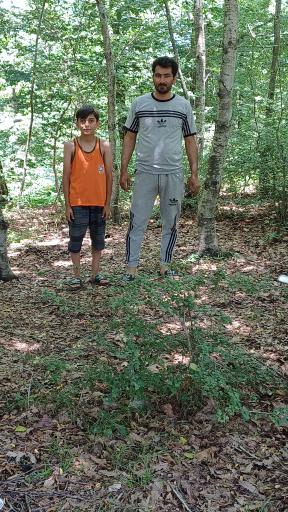 عکس پارک جنگلی قرمرض