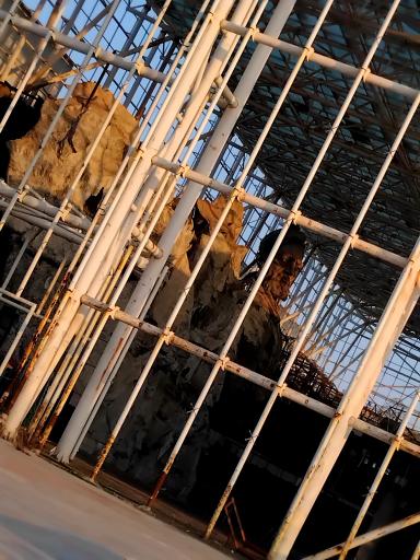 عکس شهر رویایی پدیده