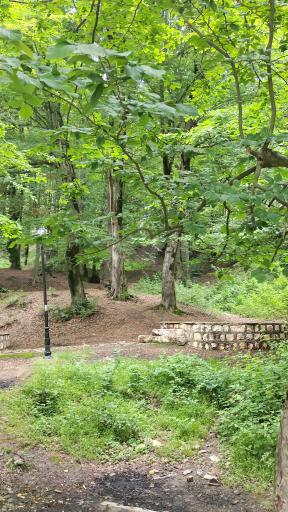 عکس پارک جنگلی قرمرض