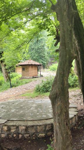 عکس پارک جنگلی قرمرض