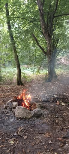 عکس پارک جنگلی قرمرض