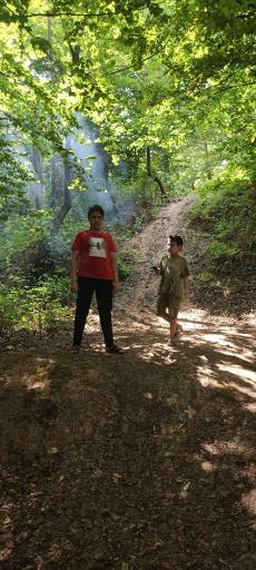 عکس پارک جنگلی قرمرض