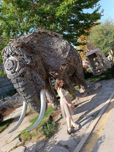 عکس شهر رویایی پدیده