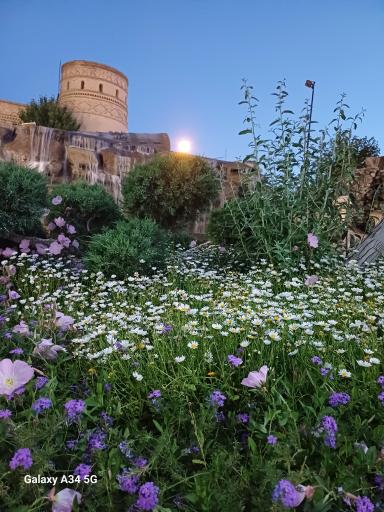 عکس شهر رویایی پدیده