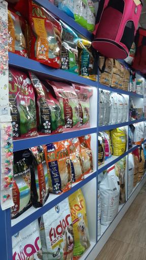 عکس پت شاپ آکوا