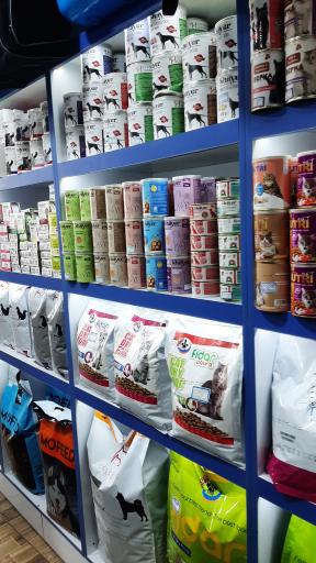 عکس پت شاپ آکوا