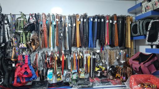 عکس پت شاپ آکوا