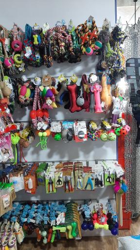 عکس پت شاپ آکوا