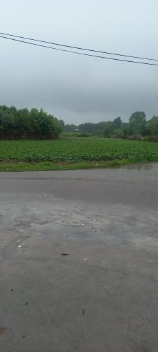 عکس اقامتگاه آلاچیق (اتاقک)