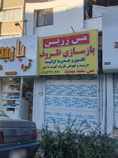 عکس مس زرین