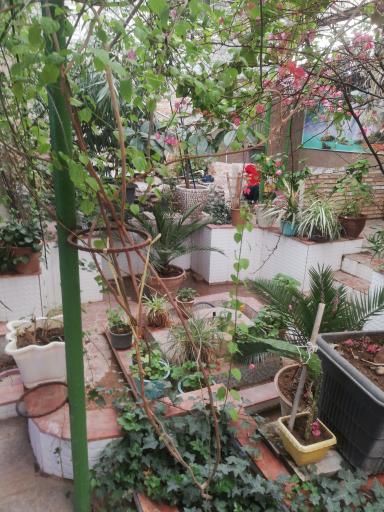 عکس رستوران حیدربابا