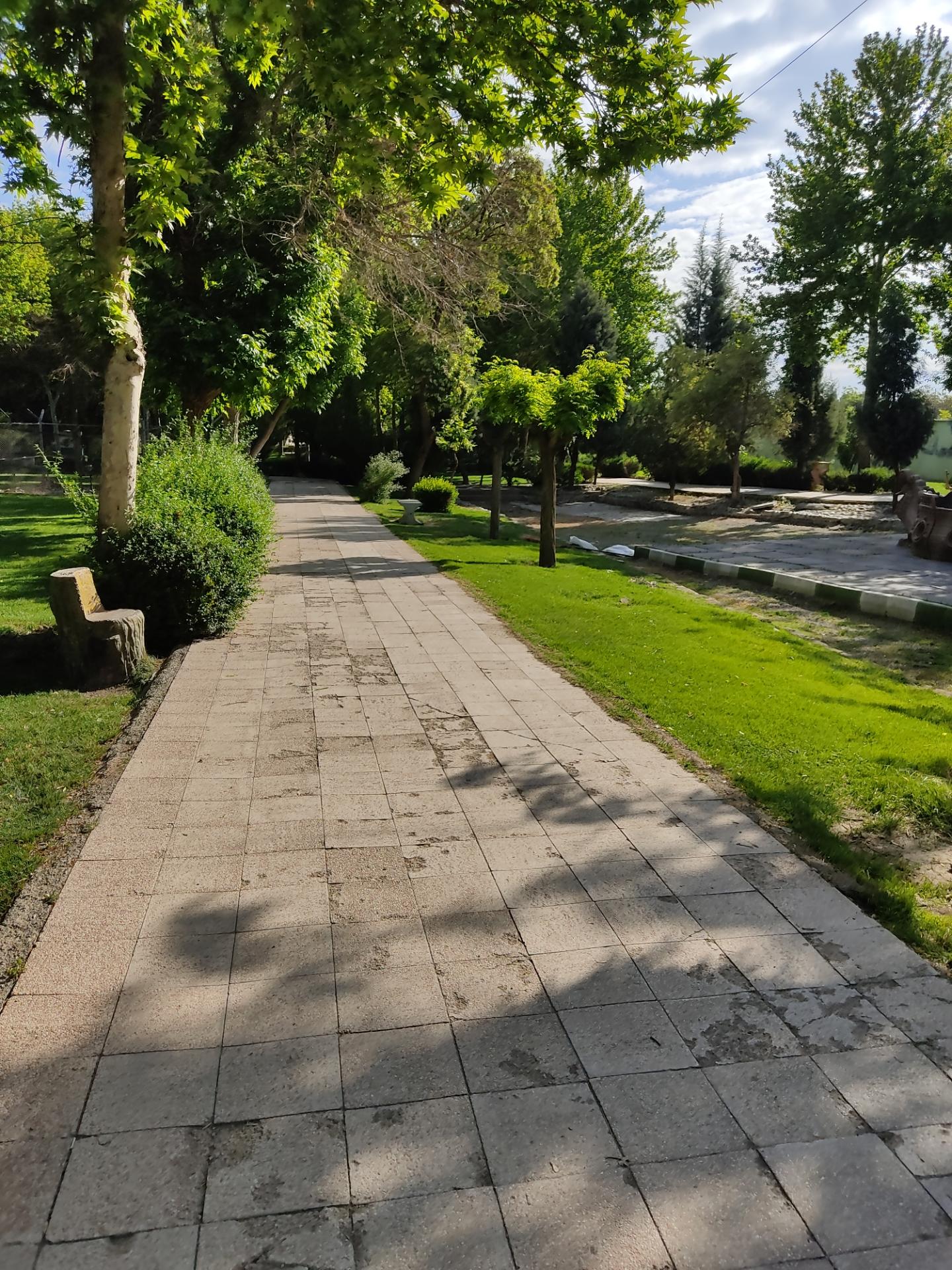 عکس پارک لاله