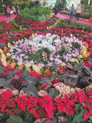 عکس محل دائمی نمایشگاه های گل و گیاه شهرداری تهران