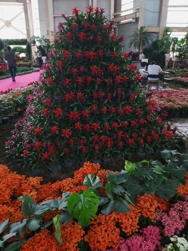 عکس محل دائمی نمایشگاه های گل و گیاه شهرداری تهران