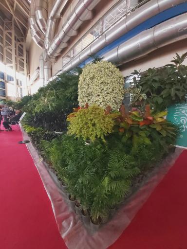 عکس محل دائمی نمایشگاه های گل و گیاه شهرداری تهران