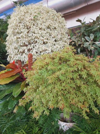 عکس محل دائمی نمایشگاه های گل و گیاه شهرداری تهران