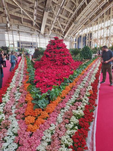 عکس محل دائمی نمایشگاه های گل و گیاه شهرداری تهران