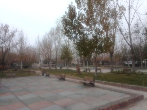 عکس بوستان پرند