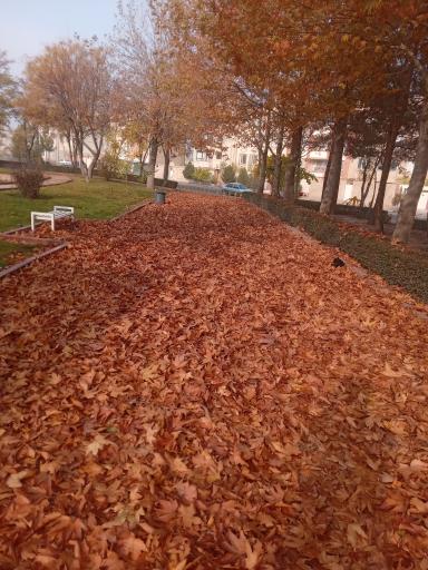 عکس بوستان پرند