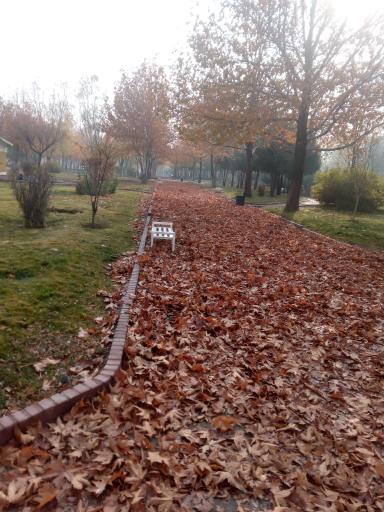 عکس بوستان پرند