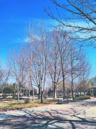 عکس بوستان پرند