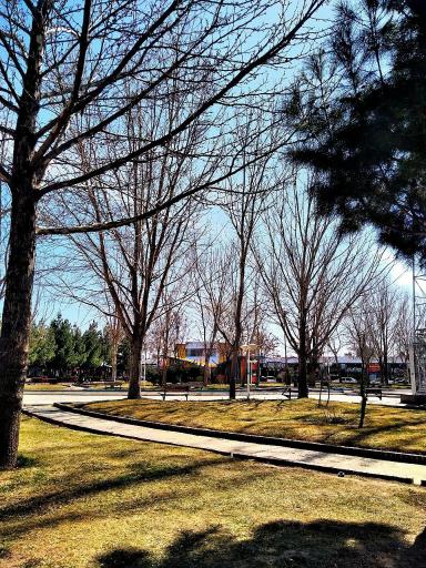 عکس بوستان پرند